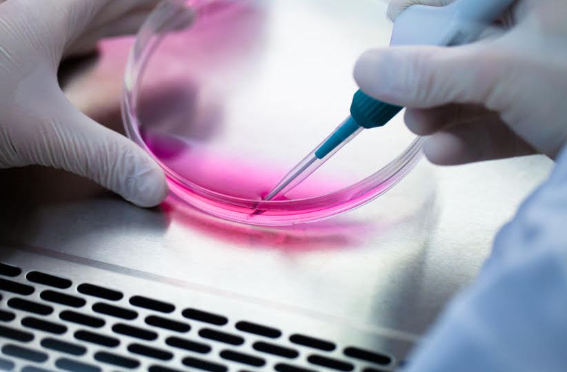 Científicos encuentran molécula supresora del cáncer de pielweb