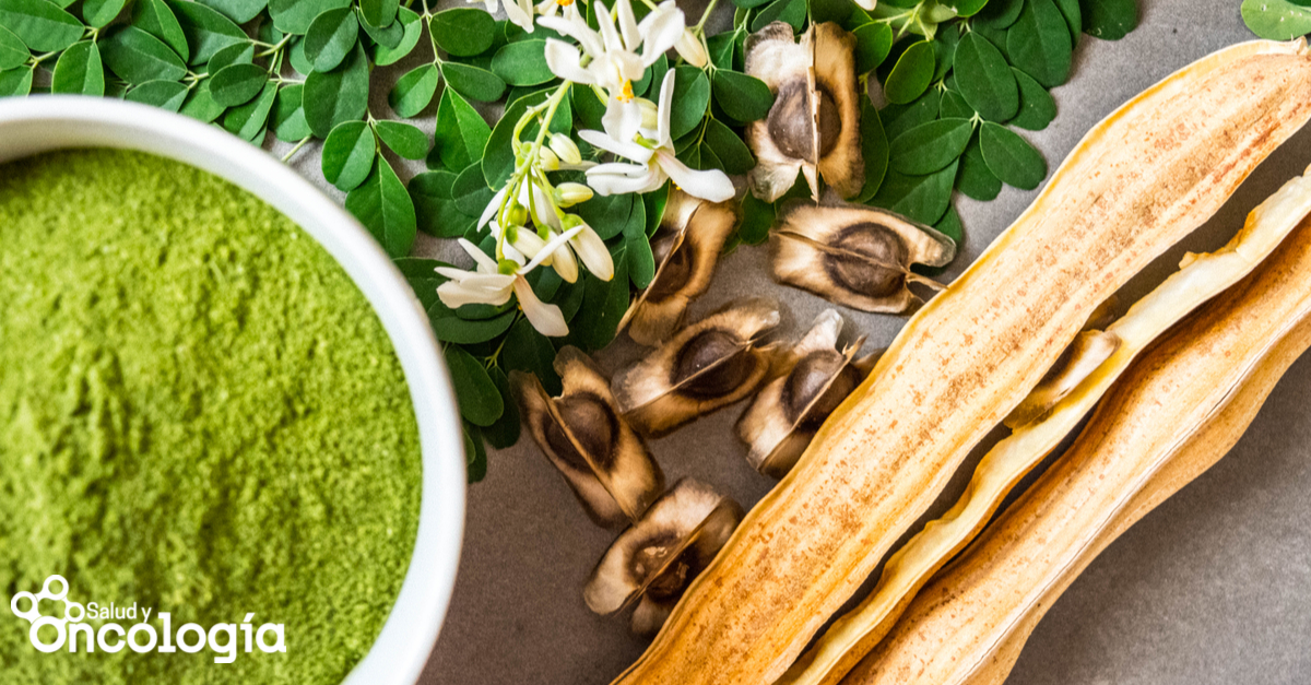 Moringa, la planta que posee propiedades curativas y trata el cáncer