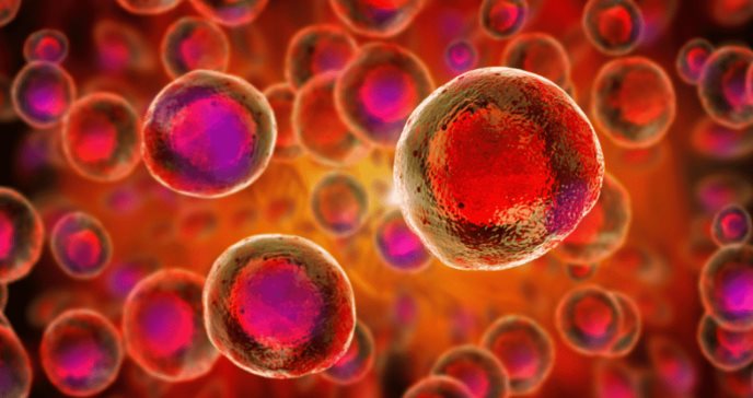 El estudio es un paso significativo hacia la comprensión de cómo, cuándo, dónde y qué células están involucradas en la creación de células madre sanguíneas. Foto: Shutterstock.