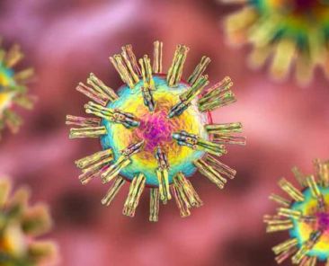 Este fármaco basado en el virus del herpes labial, herpes simple puede ser una esperanza para los pacientes de cáncer. Foto: Shutterstock